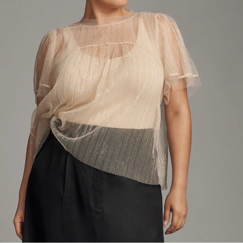 NWT Anthropologie Sheer Metallic Overlay Top in Champagne